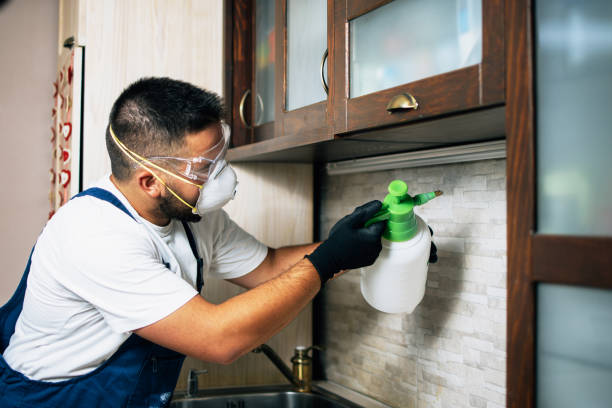 Best Best Pest Control Companies  in Dixon, KY