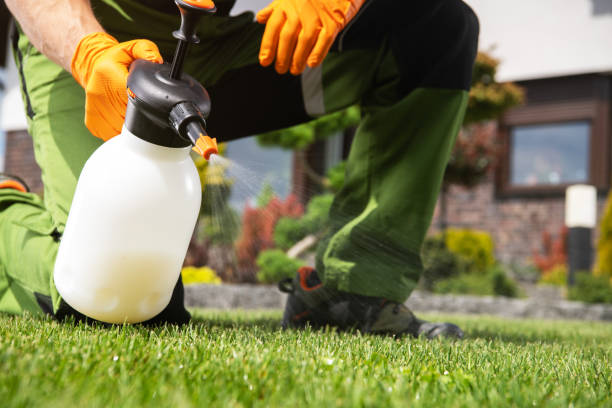 Best Exterminator Services  in Dixon, KY