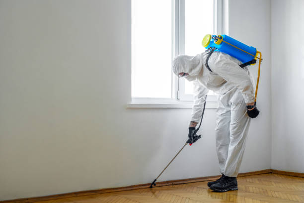 Best Emergency Pest Control  in Dixon, KY