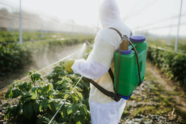 Best Best Pest Control Companies  in Dixon, KY